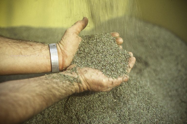 Mélange herbes de Provence